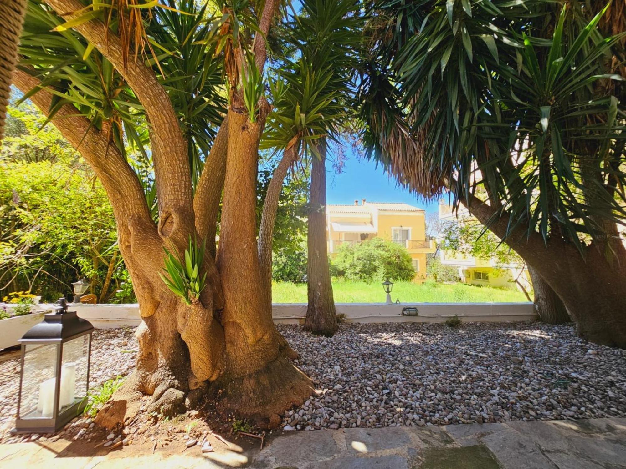 Apartment Corfu Dream *